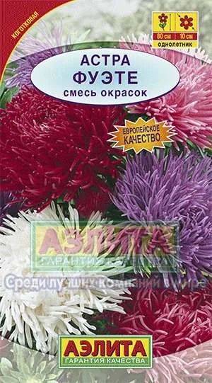 Лот: 11024643. Фото: 1. Астра Фуэте смесь коготковая 0... Садовые цветы