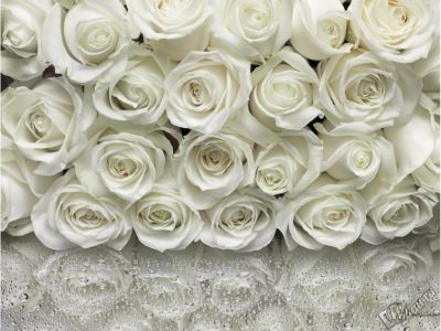 Лот: 7346733. Фото: 1. Фотообои белые розы Новые. Обои, панели, ДВП, ДСП, МДФ