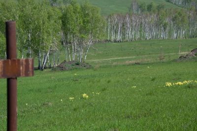 Лот: 8057655. Фото: 1. Участок 10 соток возле п.Солонцы... Земельные участки