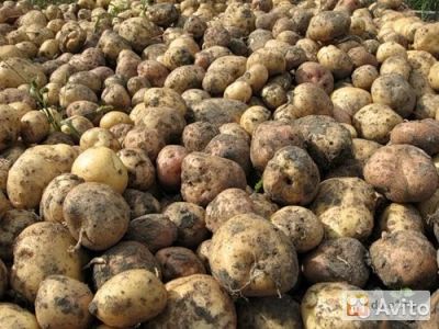 Лот: 8280481. Фото: 1. участок. Земельные участки