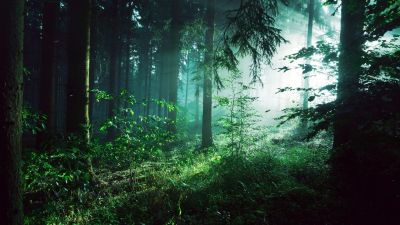 Лот: 17888663. Фото: 1. земельный участок 15 соток возле... Земельные участки