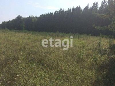 Лот: 25290534. Фото: 1. участок , Красноярск Красноярск... Земельные участки