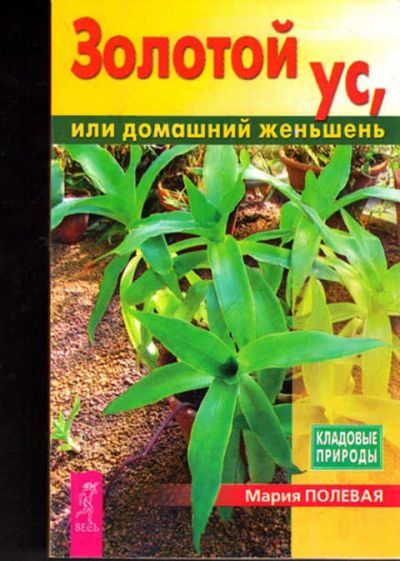 Лот: 12273293. Фото: 1. Золотой ус, или Домашний женьшень. Популярная и народная медицина