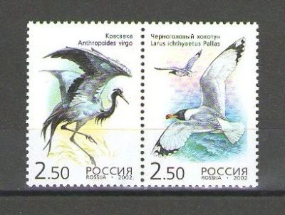 Лот: 15260224. Фото: 1. 2002 год. Полная серия. Фауна... Марки