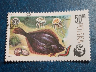 Лот: 25371626. Фото: 1. - Марки для Вашей коллекции. лот... Марки