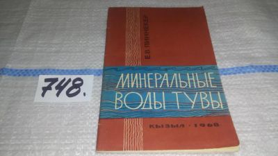 Лот: 11650200. Фото: 1. Минеральные воды Тувы, Е.В. Пиннекер... Путешествия, туризм