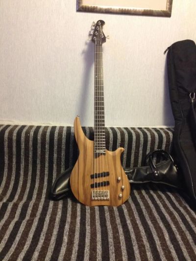 Лот: 5038800. Фото: 1. Washburn CB-5RG, ТОРГ. Другие струнные