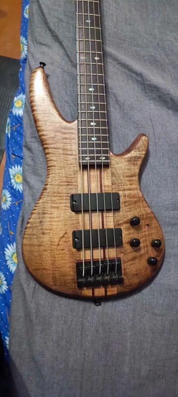 Лот: 24871690. Фото: 1. Ibanez sr905 neck thru ,custom. Гитары