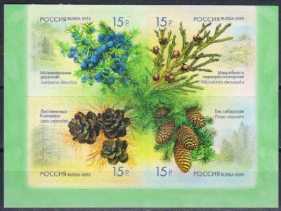 Лот: 18283876. Фото: 1. 2013, 4 марта. Флора России. Шишки... Марки