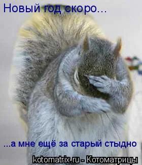Лот: 4671194. Фото: 1. Гараж г.Енисейск. Гаражи, парковочные места