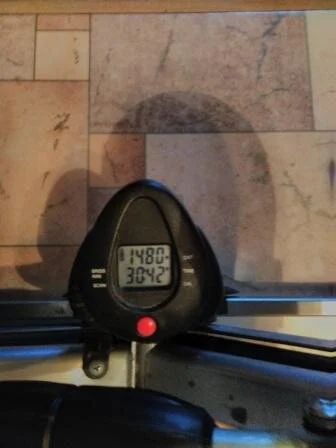 Лот: 9954731. Фото: 1. степпер. Эллиптические, степперы, гребные