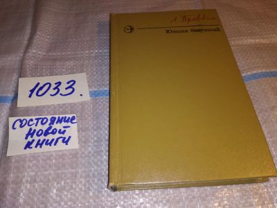 Лот: 16203783. Фото: 1. Правдин Л.Н., Юноша безумный... Художественная