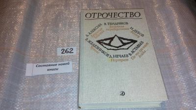 Лот: 7598705. Фото: 1. ок....Отрочество. Вып 1. Безумная... Художественная для детей
