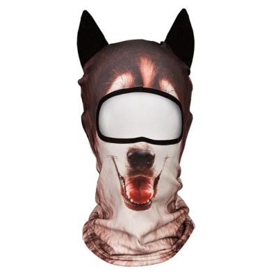 Лот: 6274175. Фото: 1. Балаклава V ARC Husky - на заказ... Маски, очки