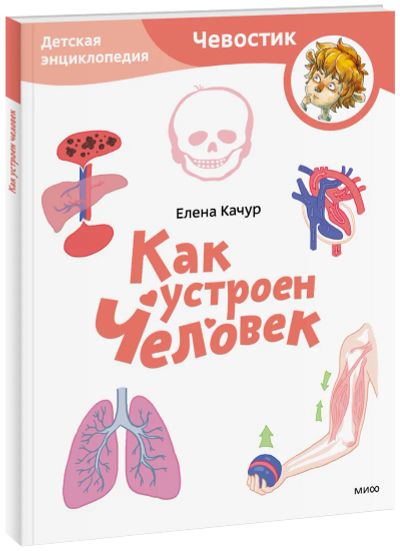 Лот: 24459625. Фото: 1. Как устроен человек. Детская энциклопедия... Художественная для детей