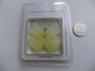 Лот: 7320542. Фото: 1. Насекомые и их знакомые № 89... Сувенирные мелочи