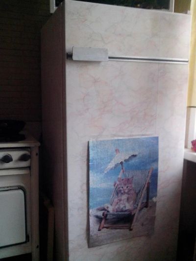 Лот: 3239414. Фото: 1. Рабочий холодильник. Холодильники, морозильные камеры