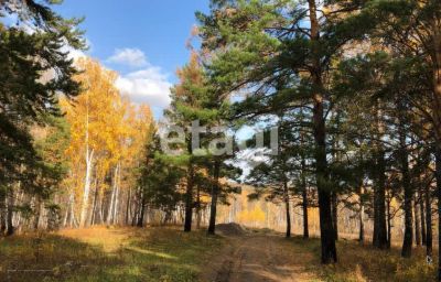 Лот: 25290760. Фото: 1. участок , ДНТ Южный Склон ДНТ... Земельные участки