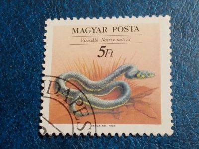 Лот: 25640804. Фото: 1. - Марки для Вашей коллекции. лот... Марки