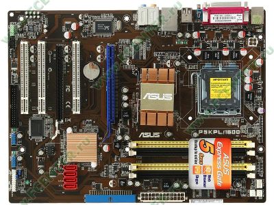 Лот: 6977856. Фото: 1. ASUS P5KPL/1600 (гарантия 1 месяц... Материнские платы
