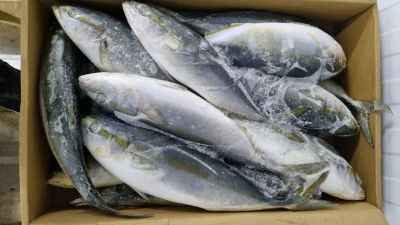 Лот: 20763620. Фото: 1. Лакедра н/р с/м. Икра, рыба, морепродукты