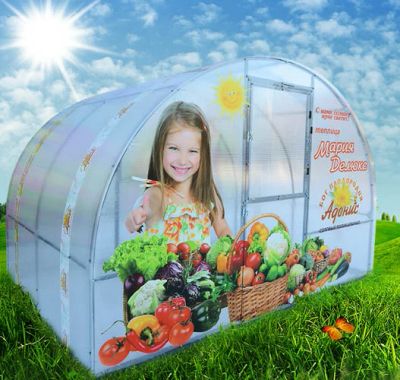 Лот: 4442624. Фото: 1. Теплица Мария Делюкс. Другое (парники, теплицы)