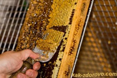 Лот: 4388600. Фото: 1. забрус таёжный 0,5 литров 2016. Мёд, продукты пчеловодства