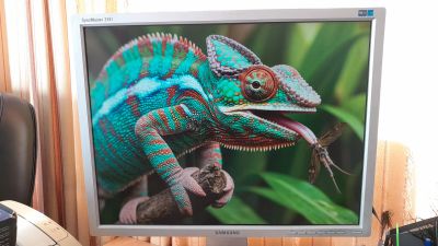 Лот: 25761806. Фото: 1. 21" Монитор Samsung SyncMaster... ЖК-мониторы