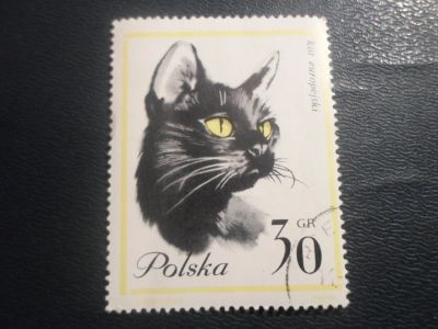 Лот: 16795985. Фото: 1. Марка для Вашей коллекции. №13951. Марки