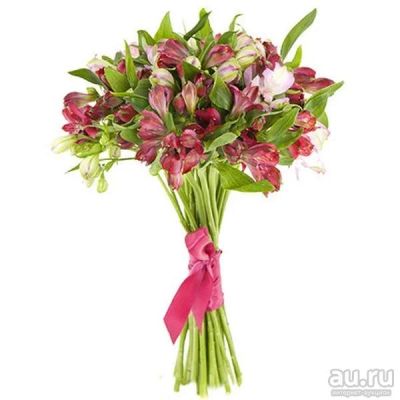 Лот: 13540776. Фото: 1. Лот №187 Альстромерии - 1500р. Свежие цветы