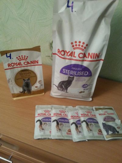 Лот: 9391340. Фото: 1. Royal Canin для кошек. Корма