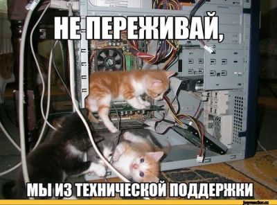 Лот: 17318212. Фото: 1. Частный комьютерный мастер, Компьютерная... IT-услуги (сайты, 1C, IT аутсорсинг)