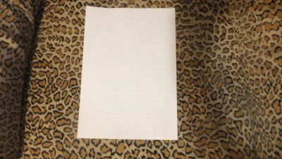 Лот: 4969690. Фото: 1. Ватман А2 200 г/м2. Товары для черчения