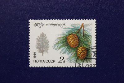 Лот: 6855949. Фото: 1. Почтовая марка №4076 в коллекцию. Марки