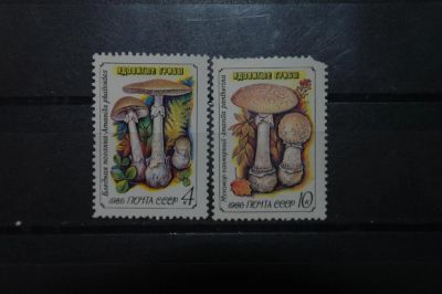 Лот: 3912955. Фото: 1. 1986 Ядовитые грибы- бледная поганка... Марки