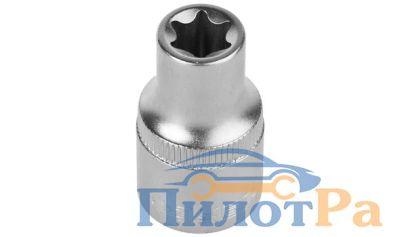 Лот: 8448612. Фото: 1. Головка звездочка Е24 TORX ЗУБР... Ручные инструменты для автомобиля