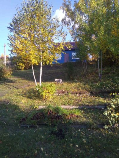 Лот: 10008194. Фото: 1. Дача 96 м на участке 10 сот. Дачи