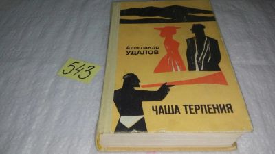 Лот: 10429382. Фото: 1. Чаша терпения, Александр Удалов... Художественная
