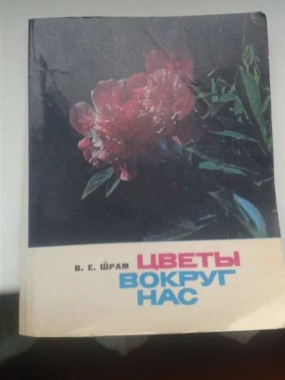 Лот: 11364136. Фото: 1. Шрам, В.Е. Цветы вокруг нас. Сад, огород, цветы