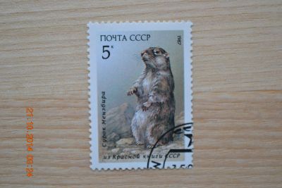 Лот: 4646099. Фото: 1. Марка 1987г. из серии Красная... Марки