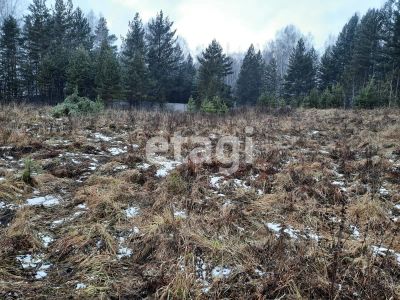 Лот: 25287974. Фото: 1. участок , посёлок Минино Дивный... Земельные участки