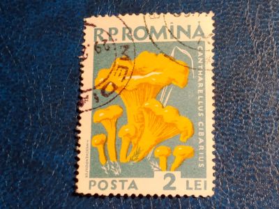 Лот: 24997682. Фото: 1. - Марки для Вашей коллекции. лот... Марки