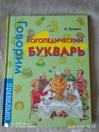 Лот: 11997480. Фото: 1. Логопедический букварь. Другое (учёба (школа, вуз))