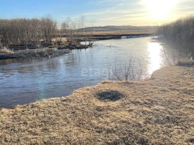 Лот: 25298126. Фото: 1. участок , посёлок Логовой Берёзовая... Земельные участки