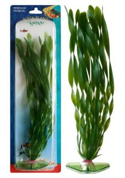 Лот: 6396871. Фото: 1. Растение PENN-PLAX Corkscrew Vallisneria... Водные растения