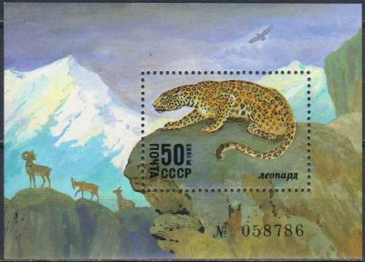 Лот: 24954875. Фото: 1. 1985, август. Животные Красной... Марки