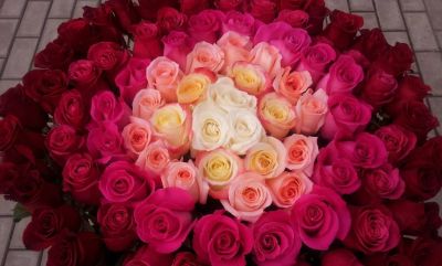 Лот: 7033223. Фото: 1. Сборный букет. Цветы на Щорса... Свежие цветы
