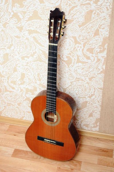 Лот: 7436951. Фото: 1. гитара ibanez. Гитары