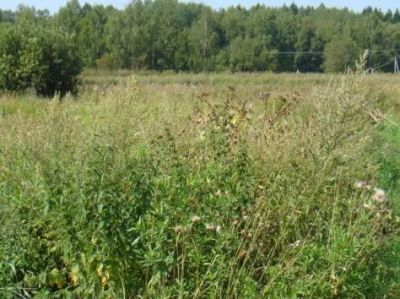 Лот: 5978740. Фото: 1. Собственник продам участок срочно... Земельные участки