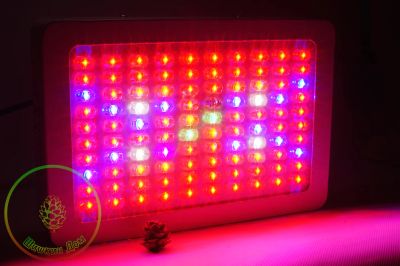 Лот: 8108796. Фото: 1. Светодиодный LED grow light светильник... Другое (комнатные растения и уход)